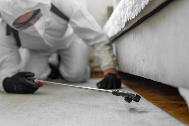 Professional Bed Bug Control technician working in Boonville, CA